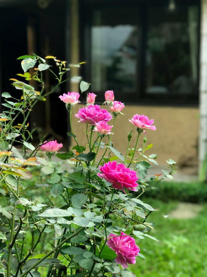 May Homestay - Tam Coc Local Village Ninh Binh Zewnętrze zdjęcie