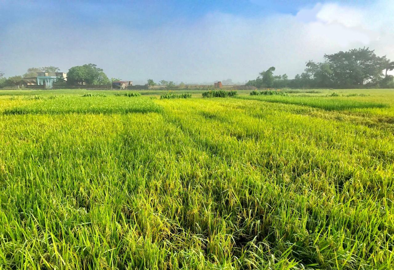 May Homestay - Tam Coc Local Village Ninh Binh Zewnętrze zdjęcie