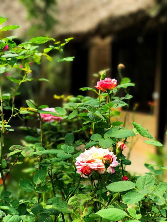 May Homestay - Tam Coc Local Village Ninh Binh Zewnętrze zdjęcie