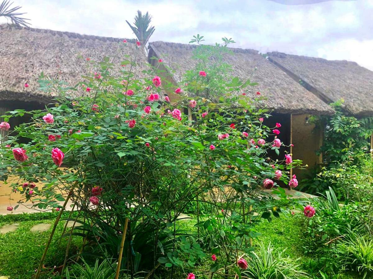 May Homestay - Tam Coc Local Village Ninh Binh Zewnętrze zdjęcie